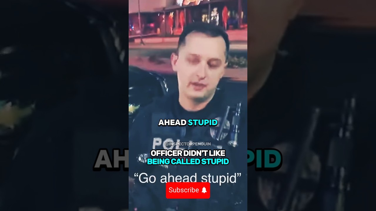 Officer Didn’t Like Being Called Stupid !!!